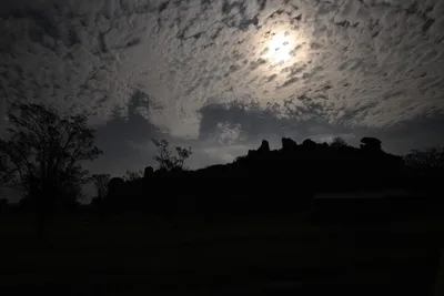 DSC_3131 (Large).JPG